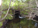 Enhancing and Connecting Wild Brook Trout Populations in VT’s West Mountain Wildlife Management Area