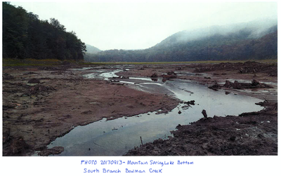 Bowman Creek old lake bottom