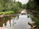 Restoration of Riverine Process and Habitat Suitability In the Upper Narraguagus River and Northern Stream Focus Areas (Maine)