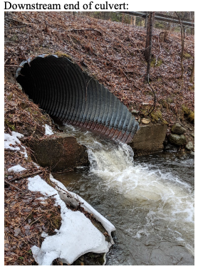 outlet (downstream) view of Lockwood culvert showing perched outlet.