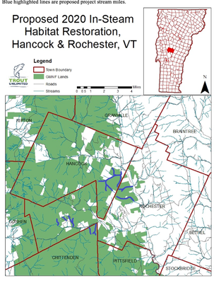 Robinson IRP LWD Habitat Restoration, White River, VT