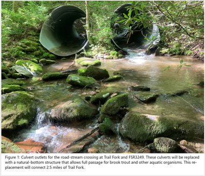 Culvert on Trail Fork - outlet