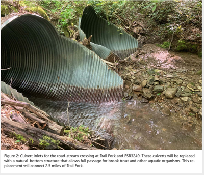 Trail fork culvert inlet