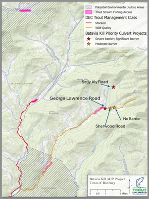 Batavia Kill Reconnection Project for Brook Trout, Delaware County, New York