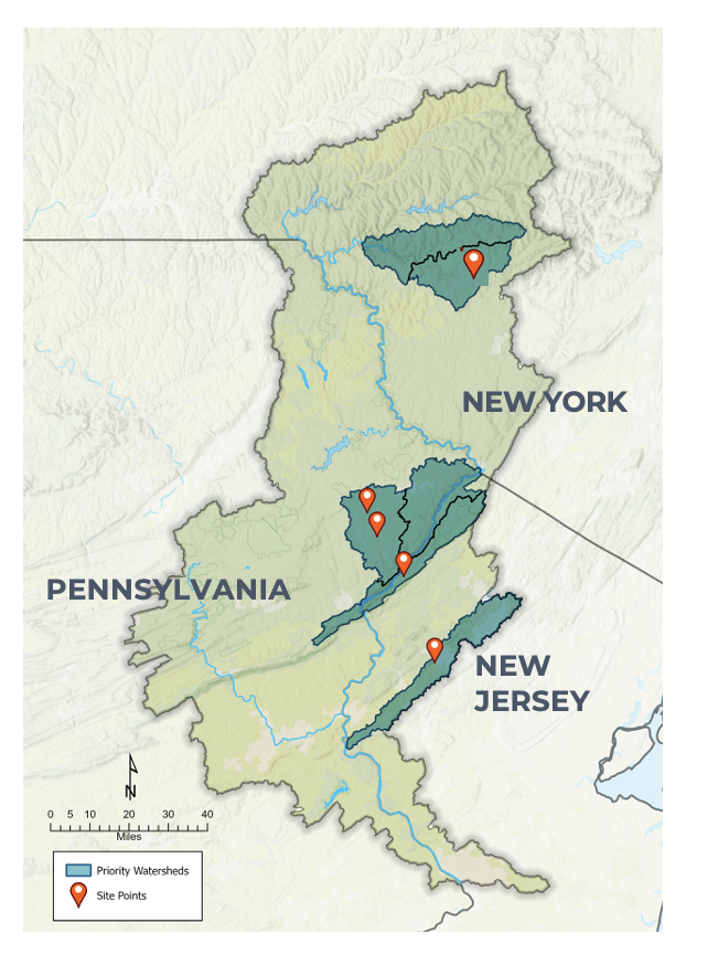 Del BKT Map