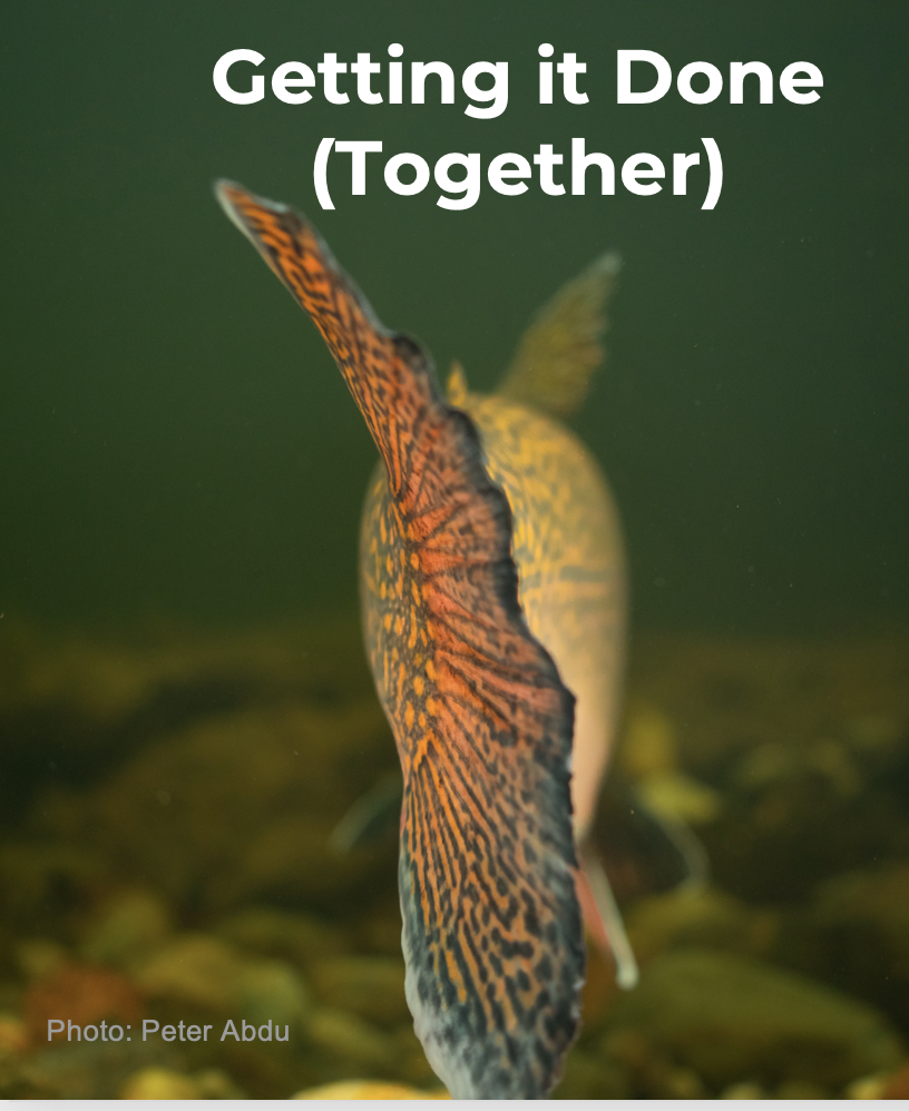 Together
