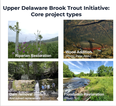 Del project types