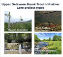 Del project types