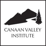 CVI logo for web