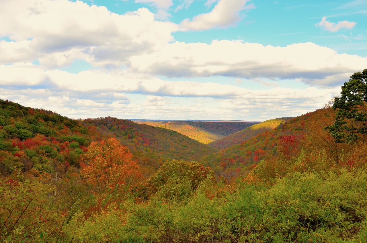 Water Tank Vista, West Branch Pine Creek PA