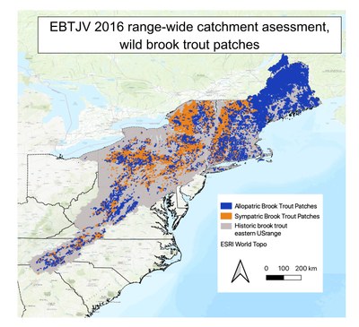Allopatric and Sympatric brook trout patches.A “patch” is defined as a group of contiguous catchments occupied by wild trout (Hudy et. al. 2013). Patches are not connected physically (i.e., they are separated by a dam, unoccupied warm water habitat, downstream invasive species, etc.) and are generally assumed to be genetically isolated.Allopatric refers to eastern brook trout only in a catchment.  Sympatric refers to brook trout co-residing and competing with brown and rainbow trout.Note: are you looking for all of EBTJV's interactive patch and catchment layers, and the GIS data to download? See related items below. 
