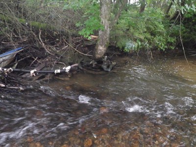 EBTJV Sampling Northumberland NH (3).JPG