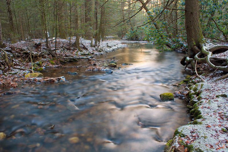 Cherry Run Game Lands Revisit