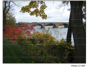 Connecticut Landowner information on Healthy Riparian Zones