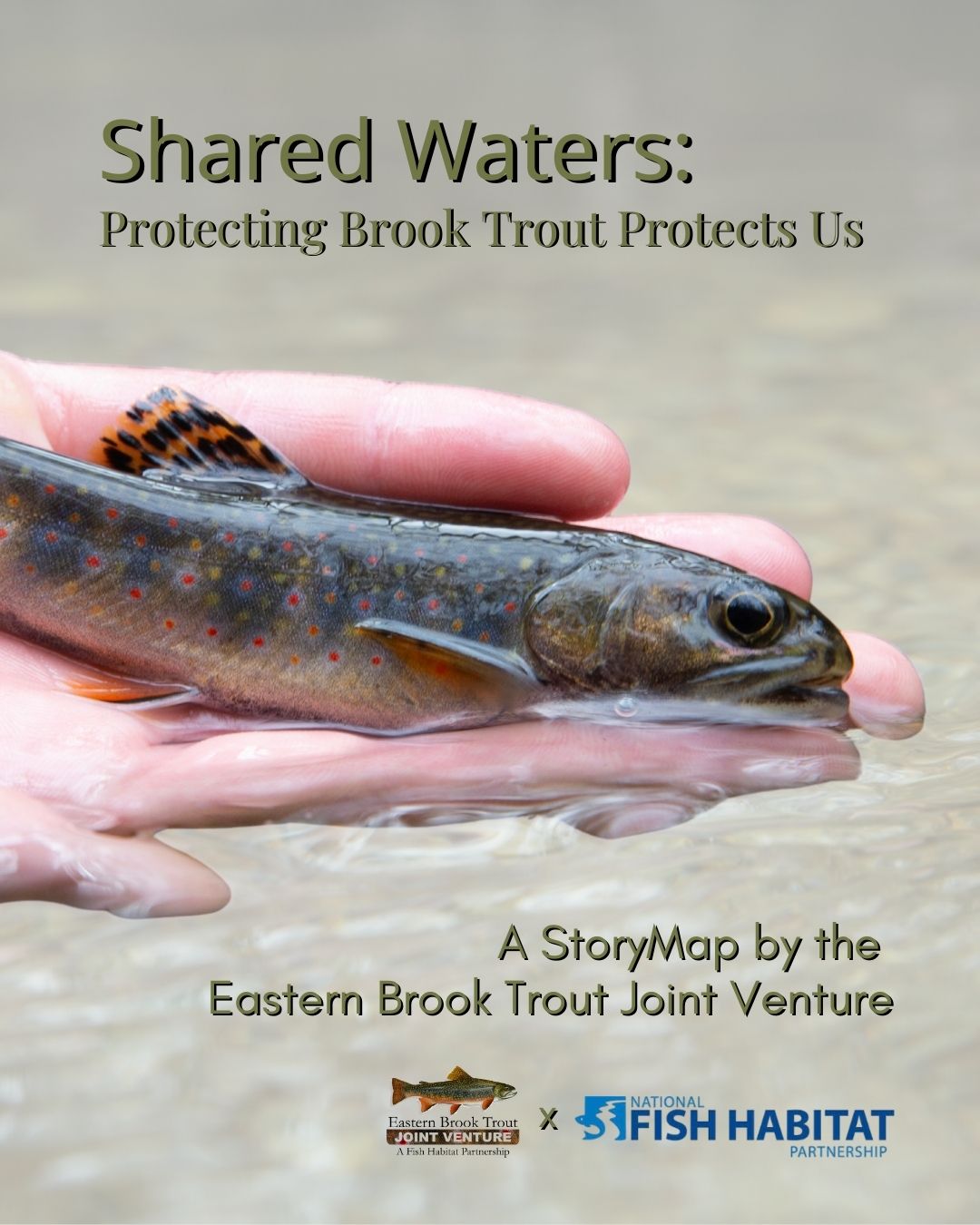 Shared Waters intro