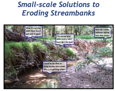 Small-scale Solutions to Eroding Streambanks (NC)